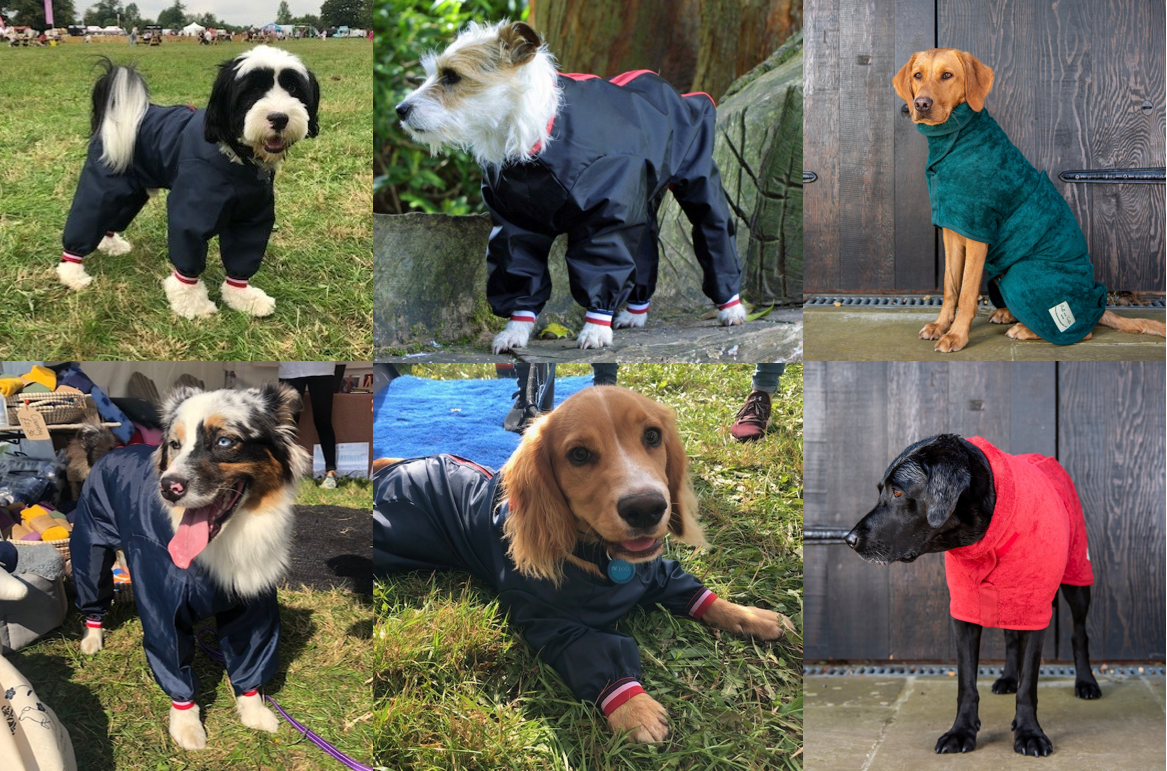 Dog coat weather!